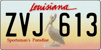 LA license plate ZVJ613