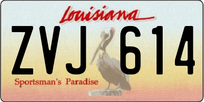 LA license plate ZVJ614