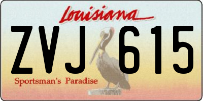 LA license plate ZVJ615