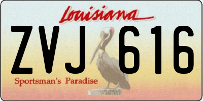 LA license plate ZVJ616