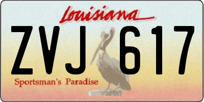 LA license plate ZVJ617