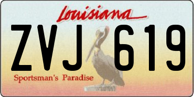 LA license plate ZVJ619