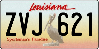 LA license plate ZVJ621