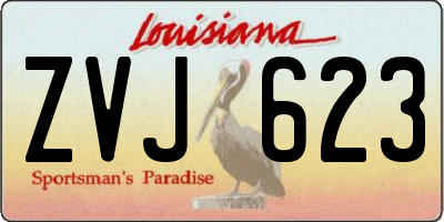 LA license plate ZVJ623