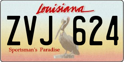 LA license plate ZVJ624