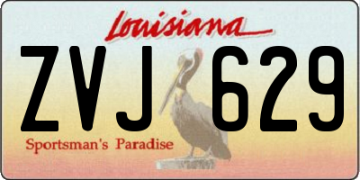 LA license plate ZVJ629