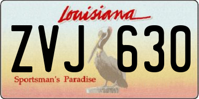 LA license plate ZVJ630