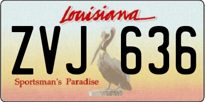 LA license plate ZVJ636