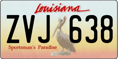 LA license plate ZVJ638
