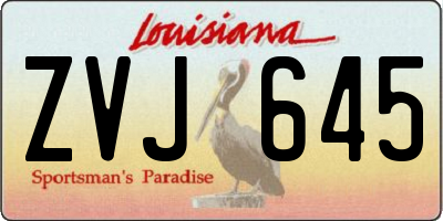 LA license plate ZVJ645