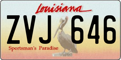 LA license plate ZVJ646