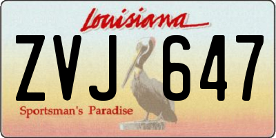 LA license plate ZVJ647
