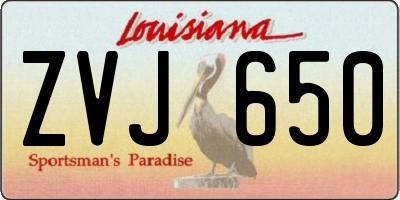 LA license plate ZVJ650