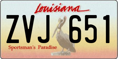 LA license plate ZVJ651