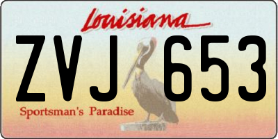LA license plate ZVJ653