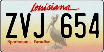 LA license plate ZVJ654
