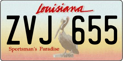 LA license plate ZVJ655