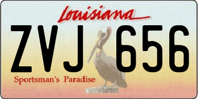 LA license plate ZVJ656