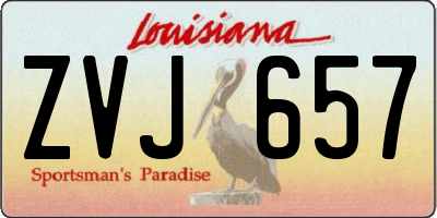 LA license plate ZVJ657