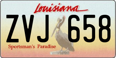 LA license plate ZVJ658