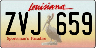 LA license plate ZVJ659