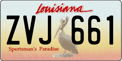 LA license plate ZVJ661