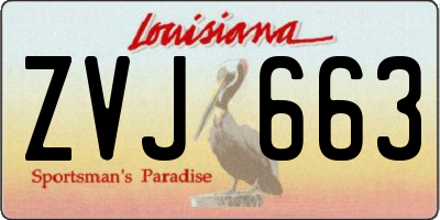 LA license plate ZVJ663