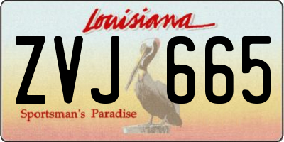 LA license plate ZVJ665
