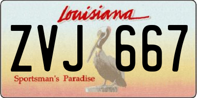 LA license plate ZVJ667