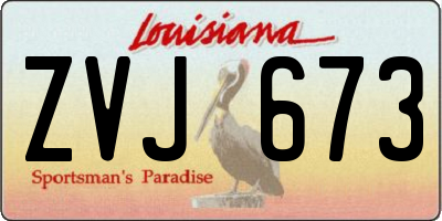 LA license plate ZVJ673