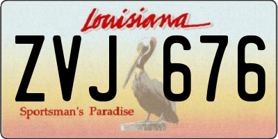 LA license plate ZVJ676