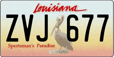 LA license plate ZVJ677