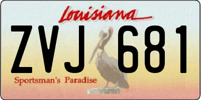 LA license plate ZVJ681