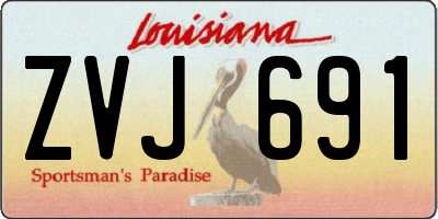 LA license plate ZVJ691