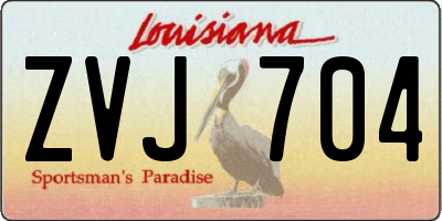 LA license plate ZVJ704