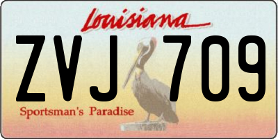 LA license plate ZVJ709