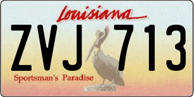 LA license plate ZVJ713