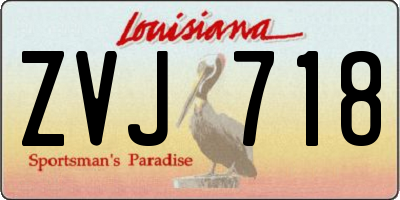 LA license plate ZVJ718