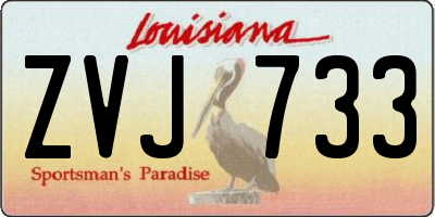LA license plate ZVJ733