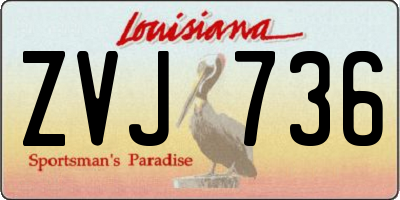LA license plate ZVJ736