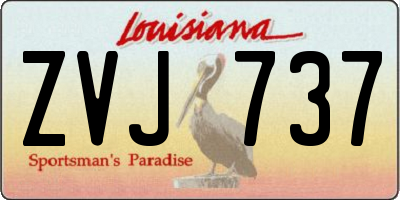 LA license plate ZVJ737