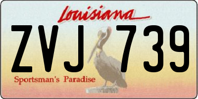 LA license plate ZVJ739