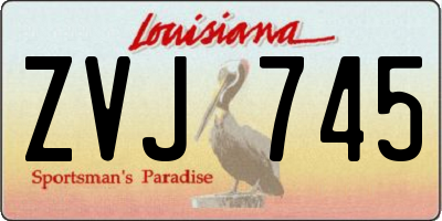 LA license plate ZVJ745