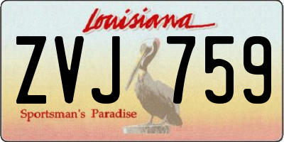 LA license plate ZVJ759