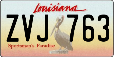 LA license plate ZVJ763