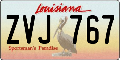 LA license plate ZVJ767