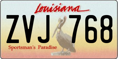 LA license plate ZVJ768