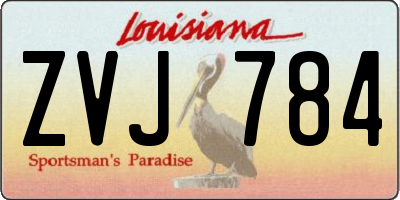 LA license plate ZVJ784