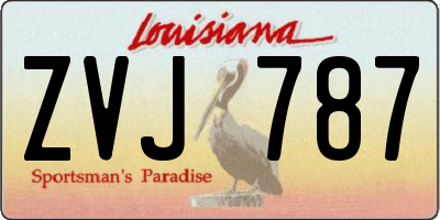 LA license plate ZVJ787