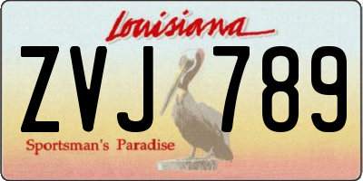 LA license plate ZVJ789